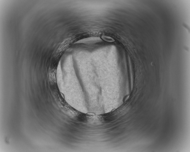 X0000100360432200806201609