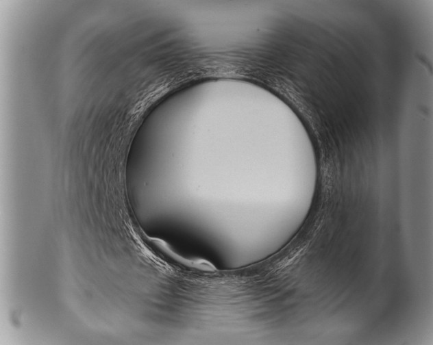 X0000100360433200806201608