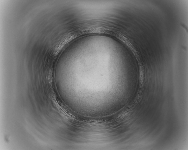 X0000100360434200806201608