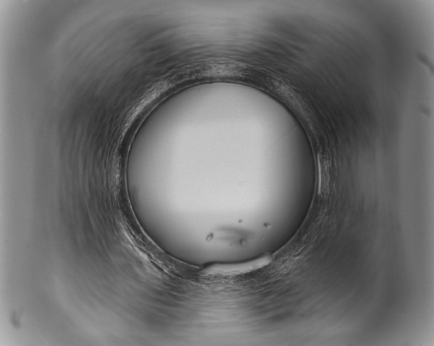 X0000100360435200806201608