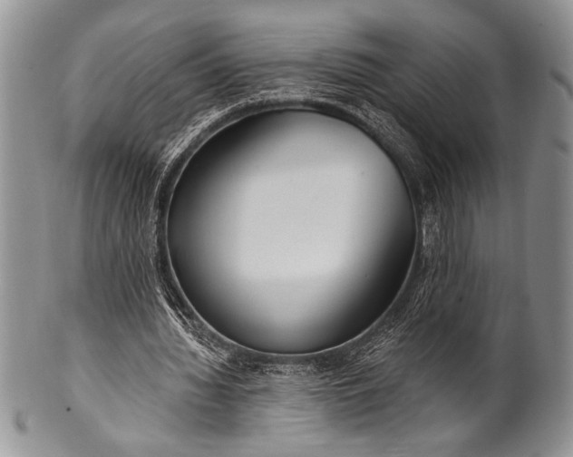 X0000100360436200806201608