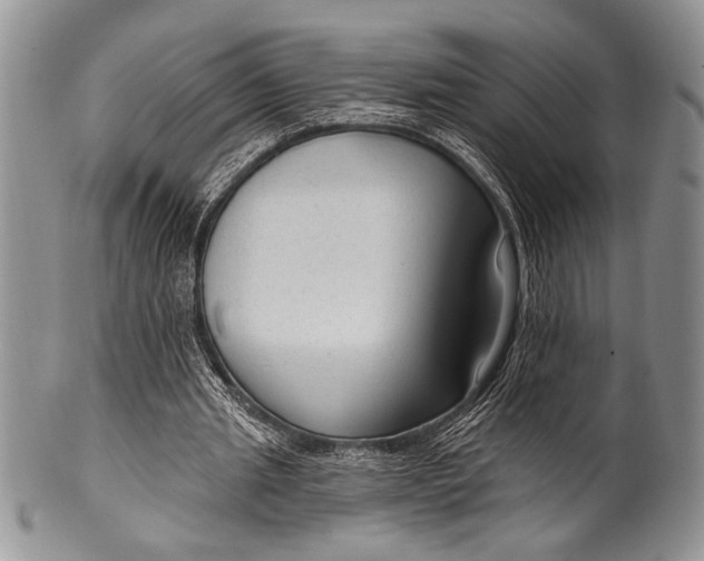 X0000100360437200806201608