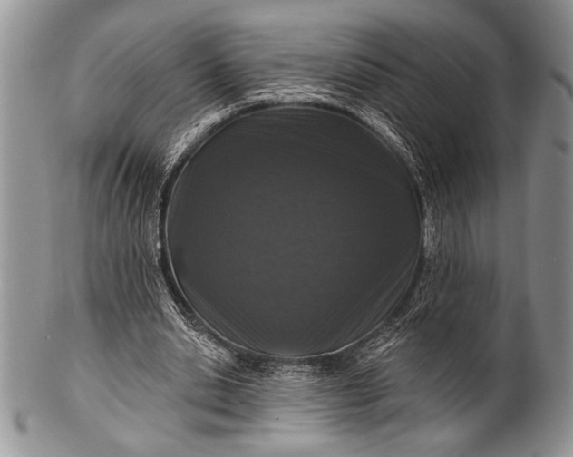 X0000100360438200806201608