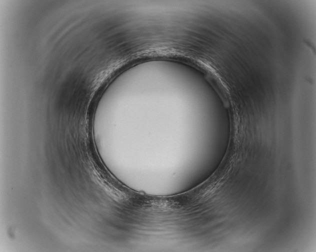 X0000100360439200806201608