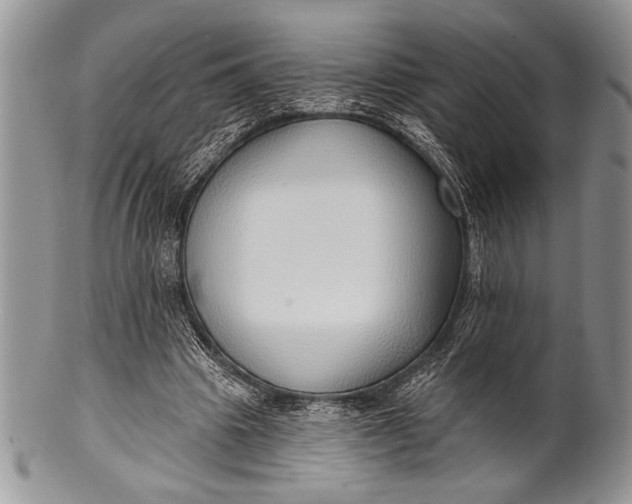 X0000100360441200806201608