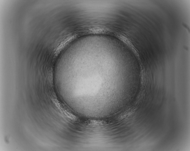 X0000100360442200806201608