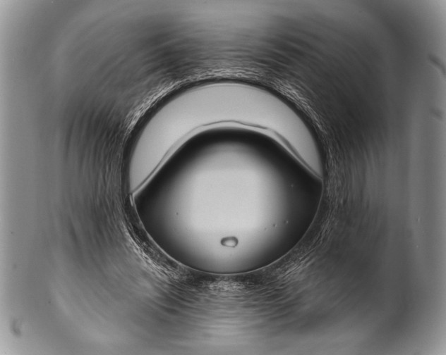 X0000100360444200806201608