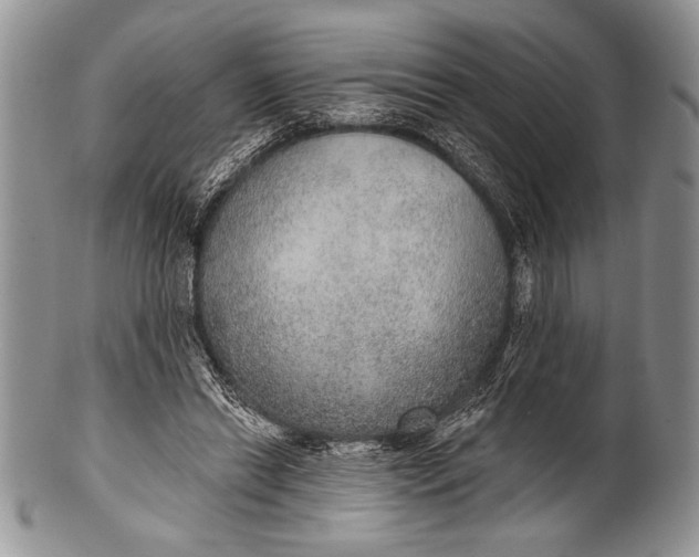 X0000100360446200806201608