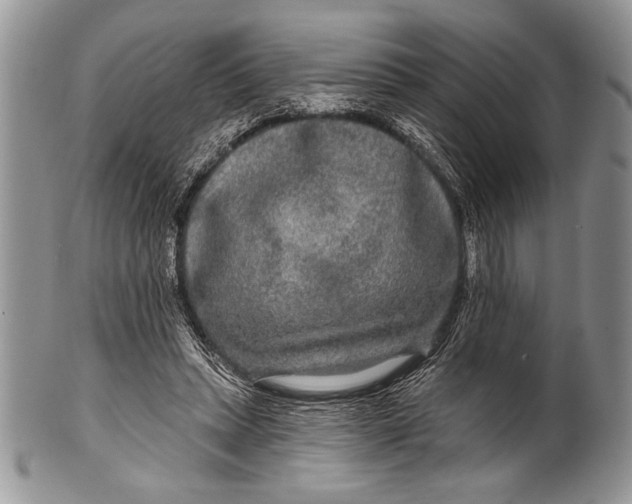 X0000100360447200806201608