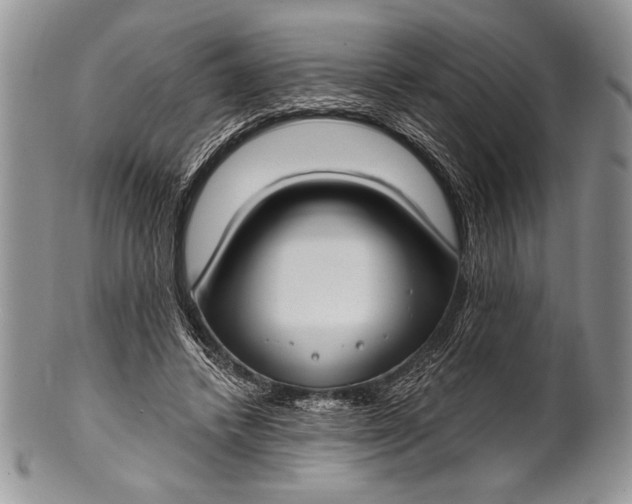 X0000100360448200806201608