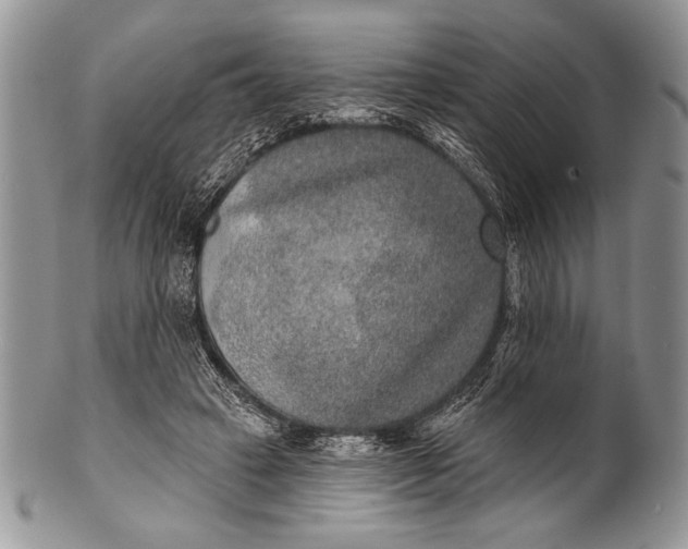 X0000100360449200806201608