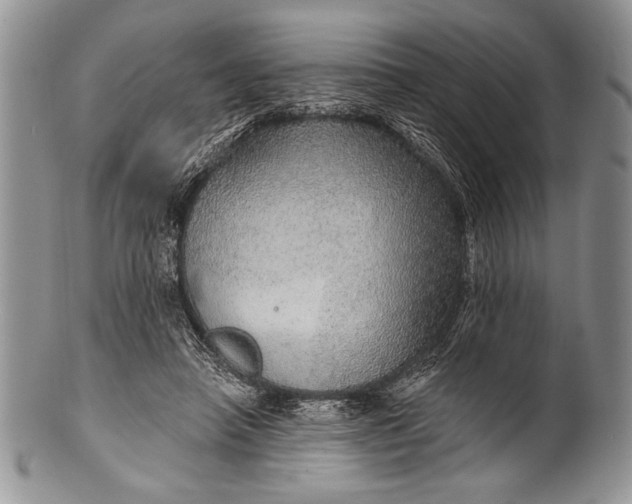 X0000100360450200806201608