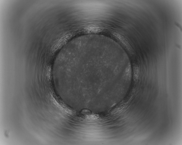 X0000100360451200806201608