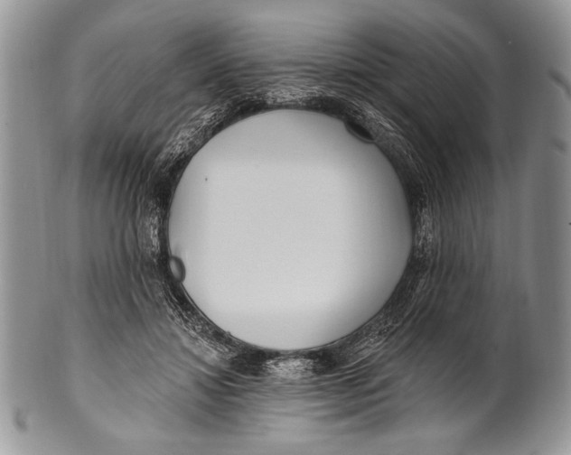 X0000100360452200806201608