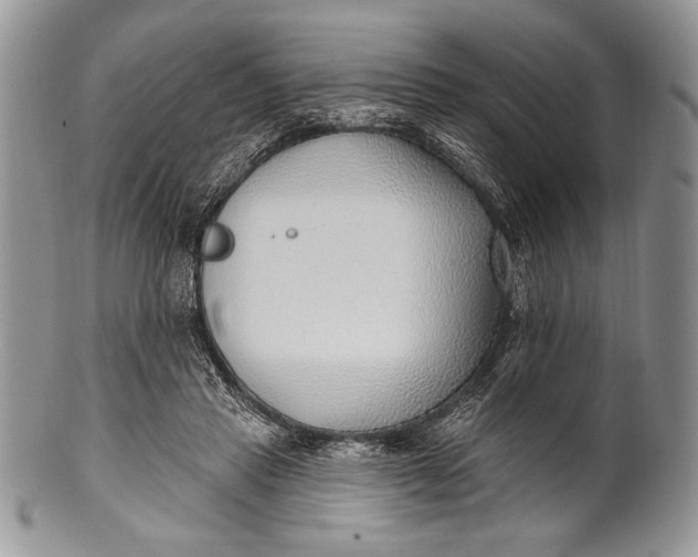 X0000100360453200806201608