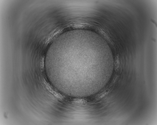 X0000100360454200806201608