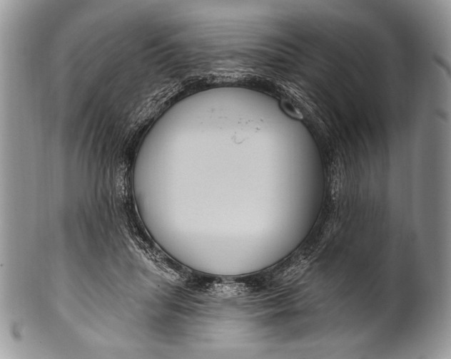 X0000100360455200806201608