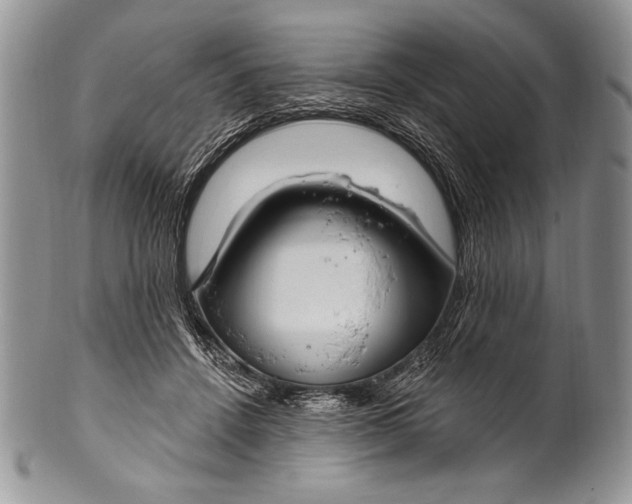 X0000100360456200806201608