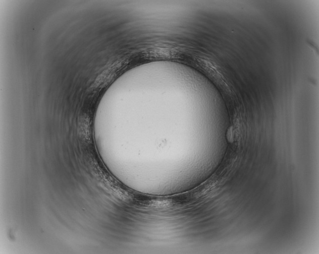 X0000100360457200806201608