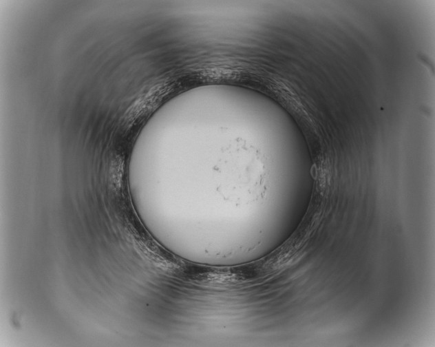 X0000100360458200806201608