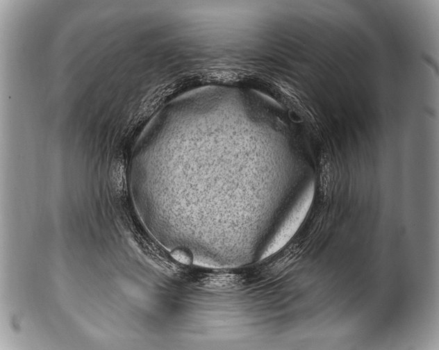 X0000100360459200806201608