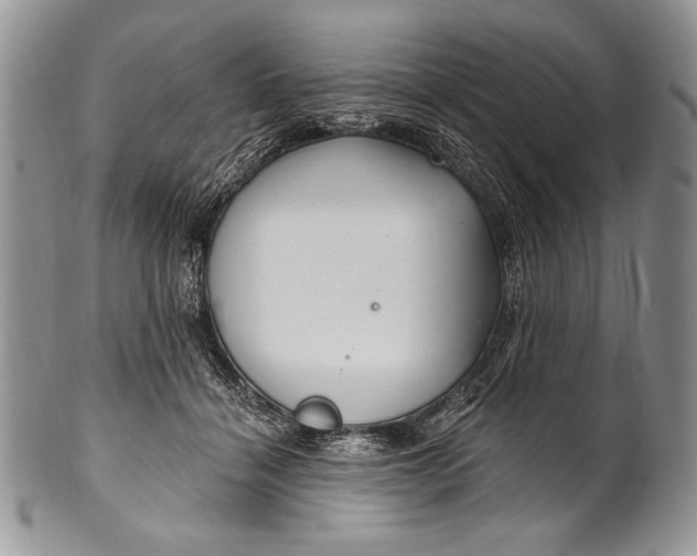 X0000100360460200806201608