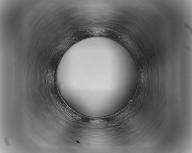 X0000100360461200806201608