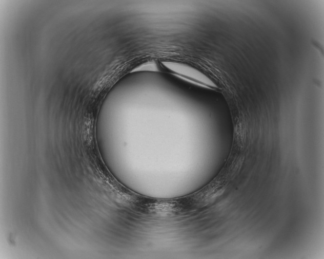 X0000100360462200806201608