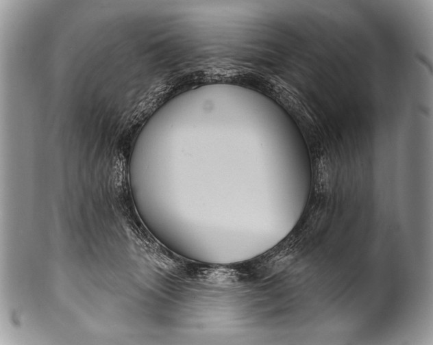 X0000100360463200806201608