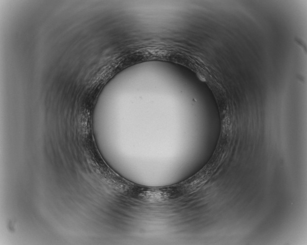 X0000100360464200806201608