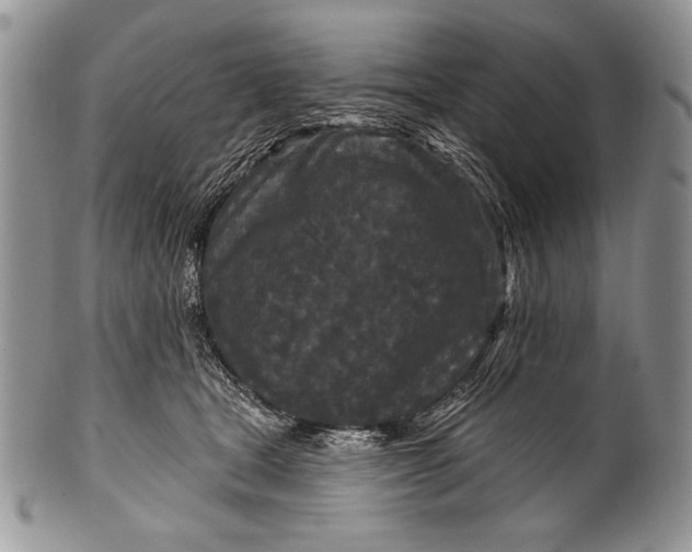 X0000100360465200806201608