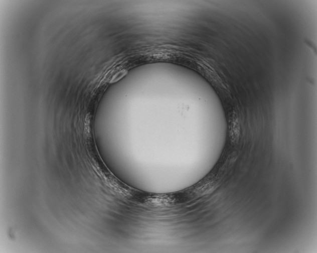 X0000100360466200806201608