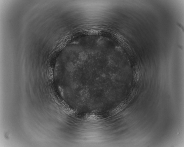 X0000100360467200806201608