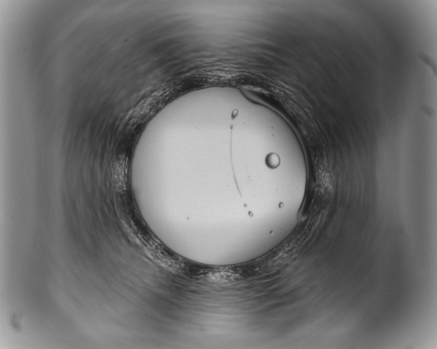 X0000100360468200806201608