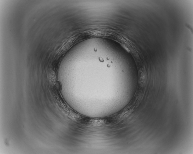 X0000100360469200806201609