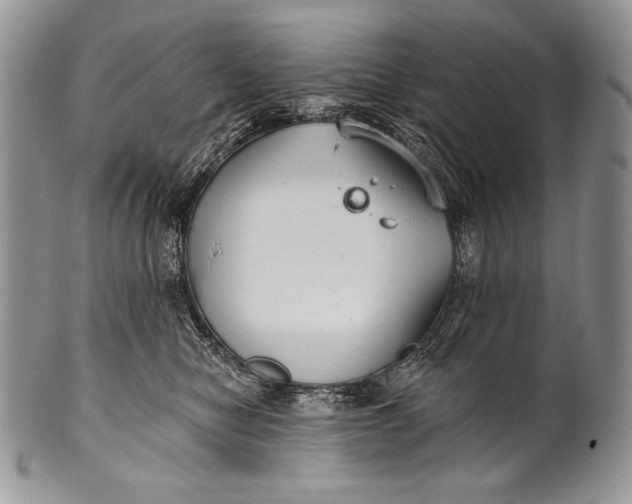 X0000100360470200806201609