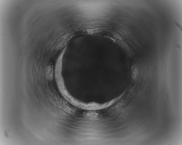 X0000100360471200806201609