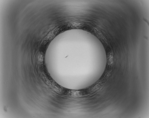 X0000100360472200806201609