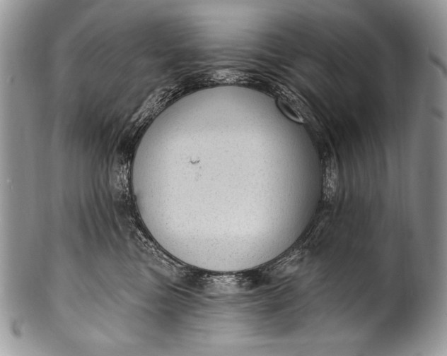 X0000100360473200806201609