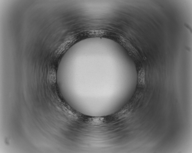 X0000100360474200806201609