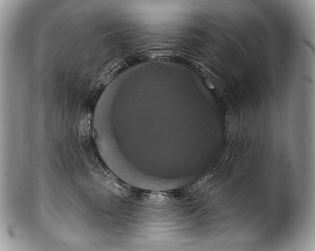 X0000100360475200806201609