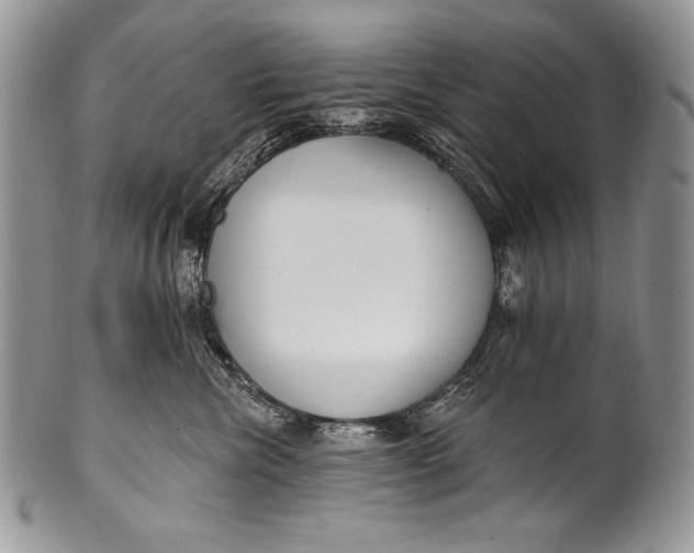 X0000100360476200806201609