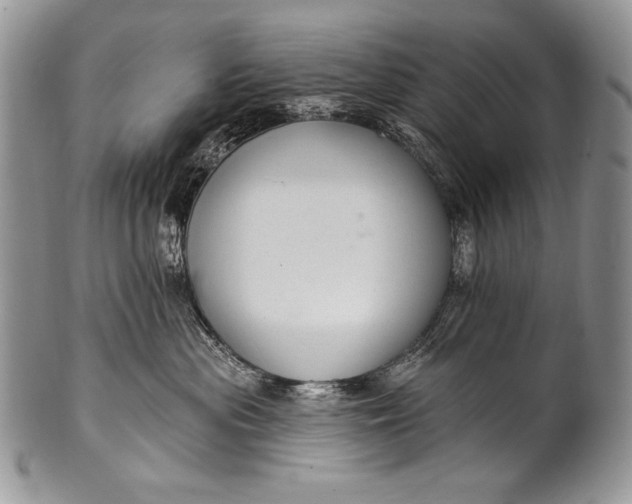 X0000100360477200806201609