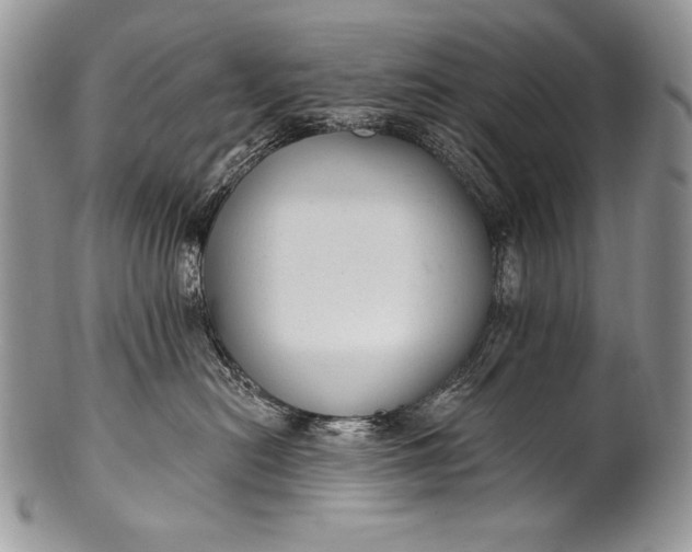 X0000100360478200806201609