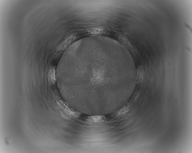 X0000100360479200806201609