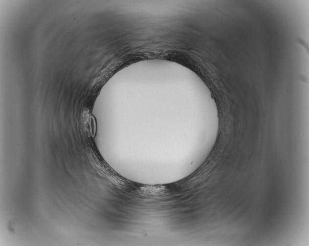 X0000100360480200806201609