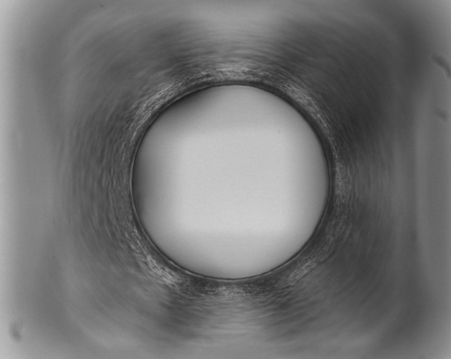 X0000100360481200806201608