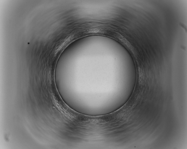 X0000100360482200806201608