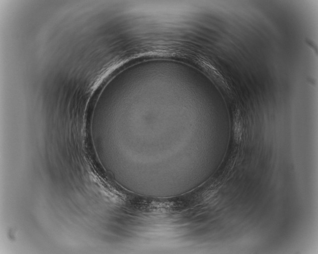 X0000100360484200806201608