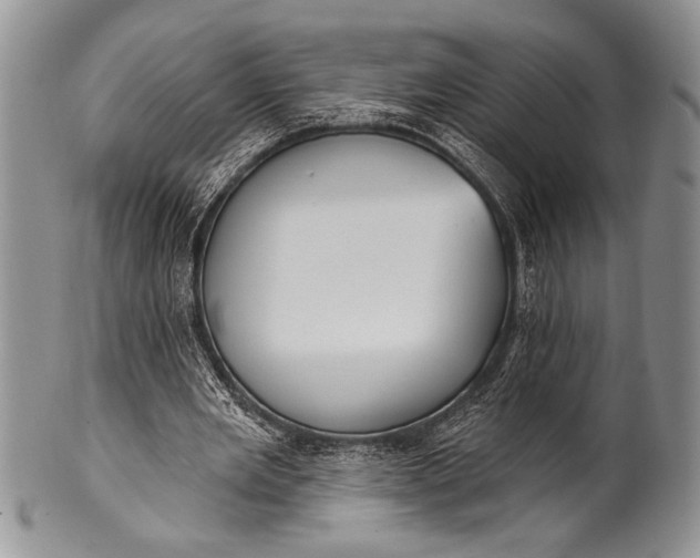 X0000100360485200806201608